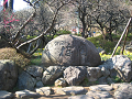 IMG_0664_thumb.png