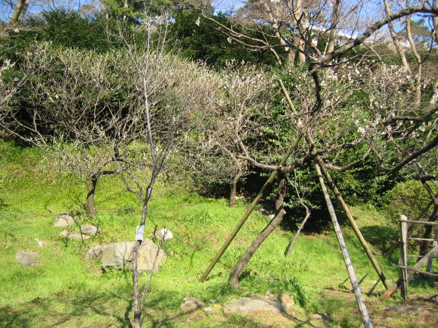IMG_0671.JPG