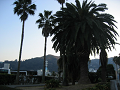 IMG_0694_thumb.png