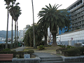 IMG_0696_thumb.png