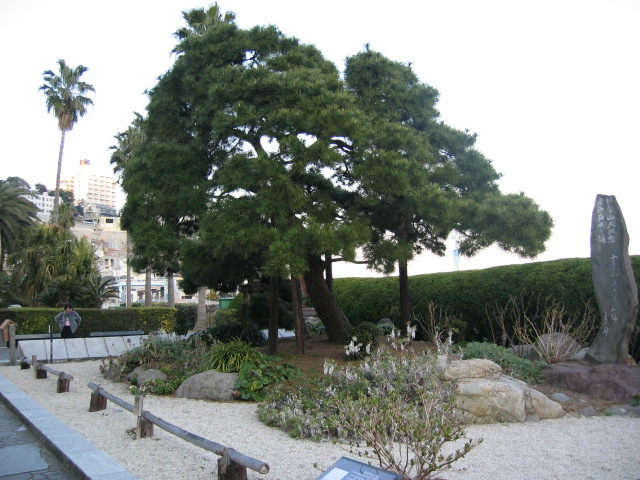 IMG_0699.JPG