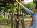 DSCF0069_thumb.png