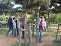 DSCF0079_thumb.png