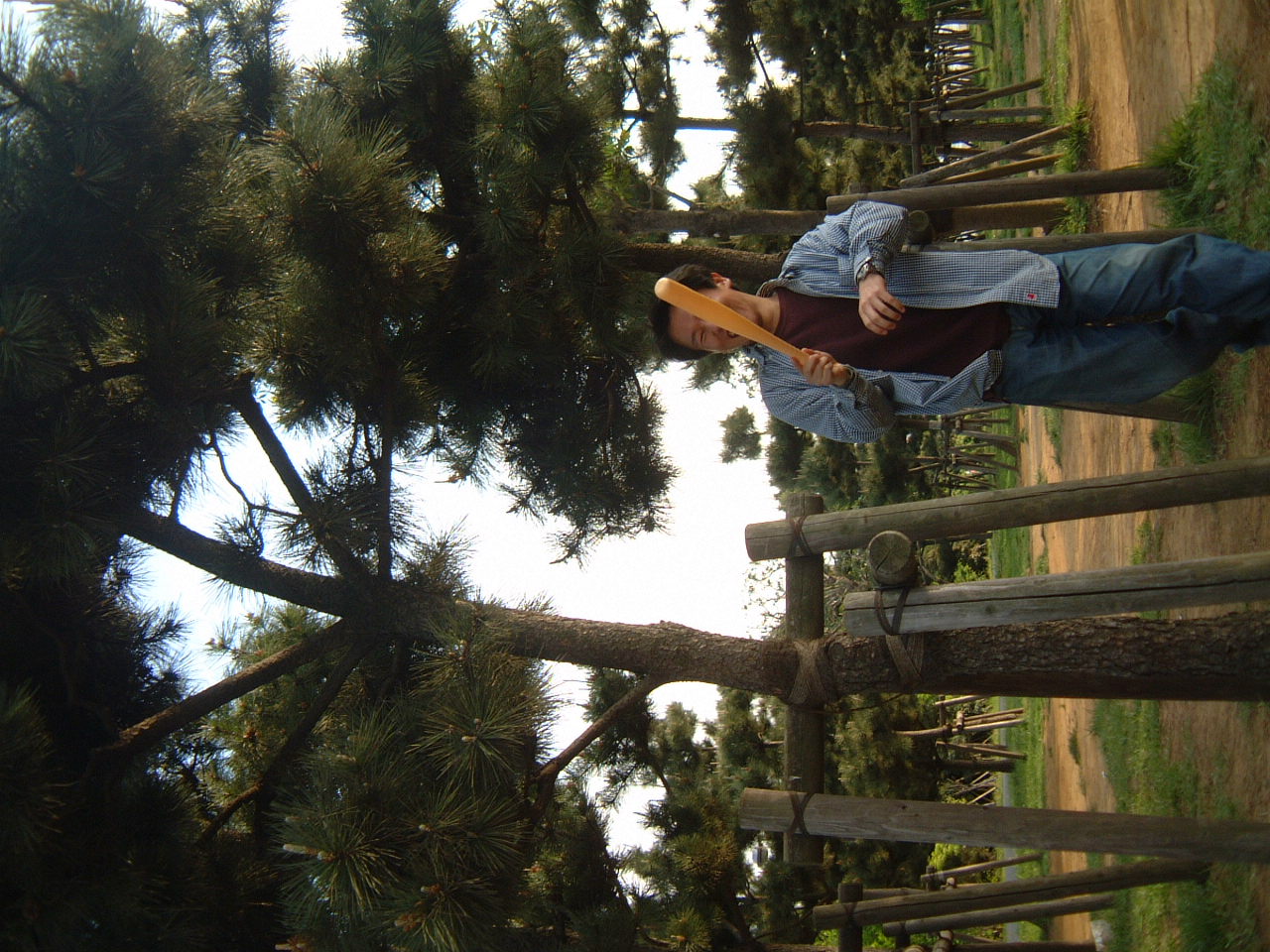 DSCF0080.JPG