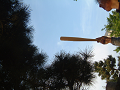 DSCF0083_thumb.png