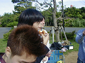 P4270024_thumb.png