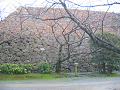 IMG_3921_thumb.png