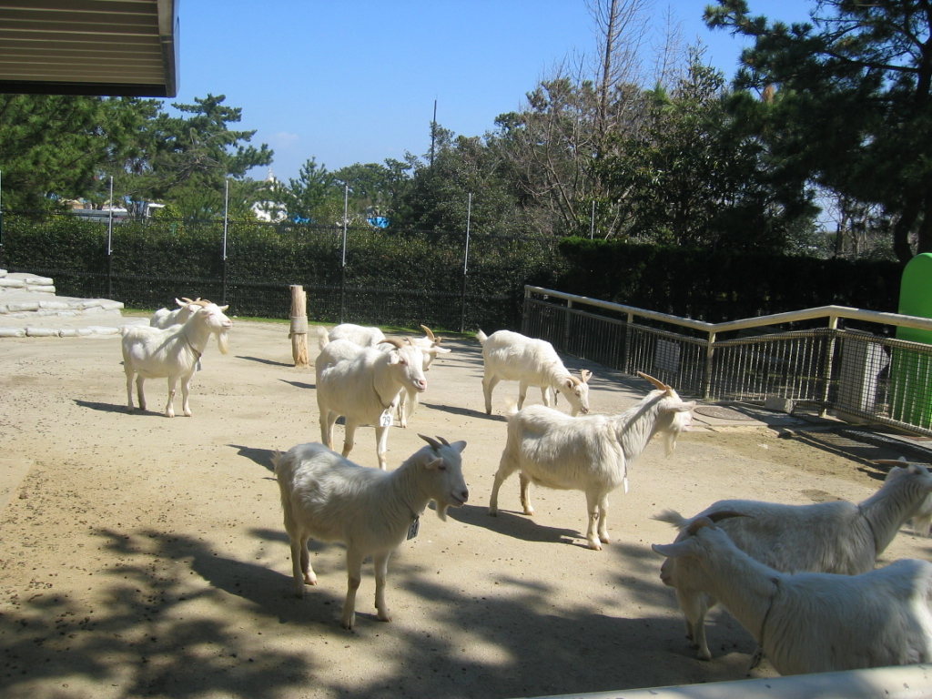 IMG_4023.JPG