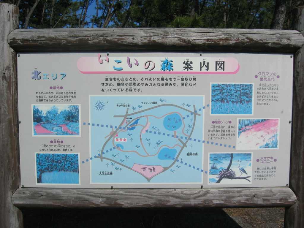IMG_4028.JPG