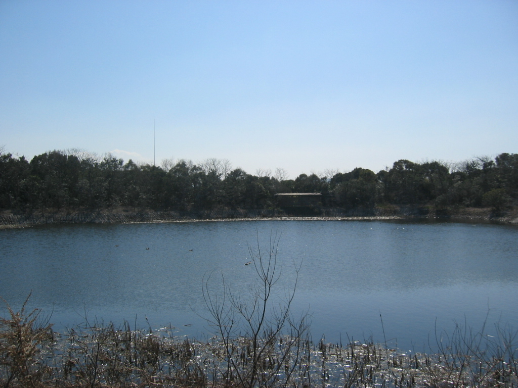 IMG_4035.JPG