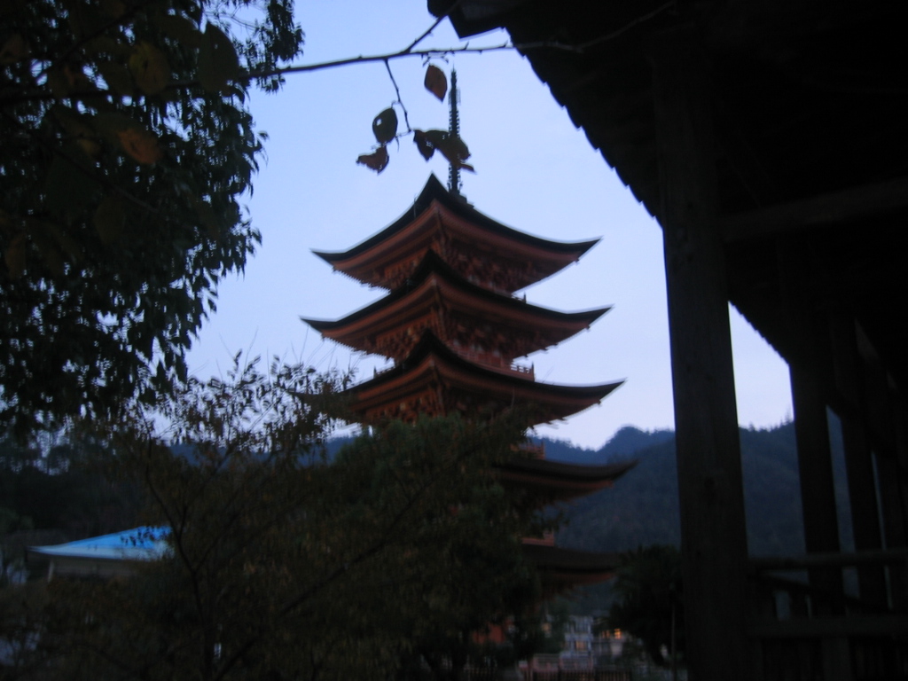 IMG_3618.JPG