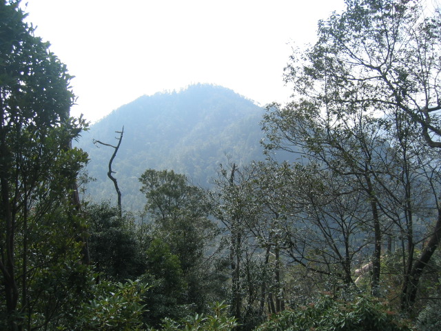 IMG_3506.JPG