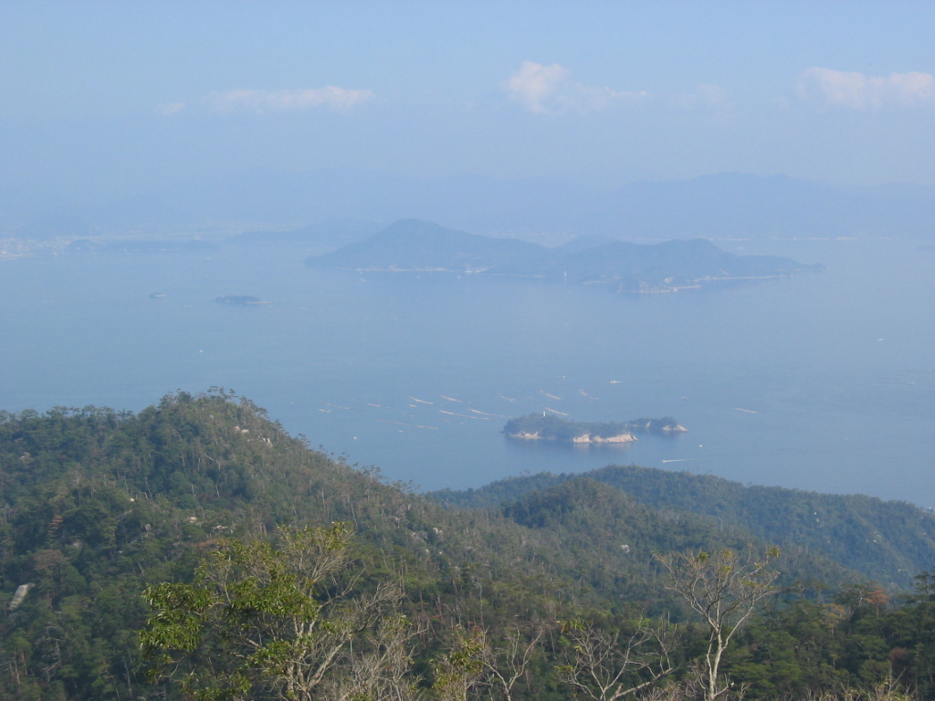 IMG_3553.JPG