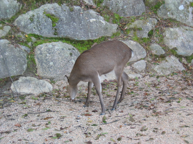 IMG_3472.JPG