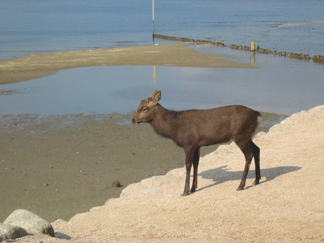 IMG_3474.JPG