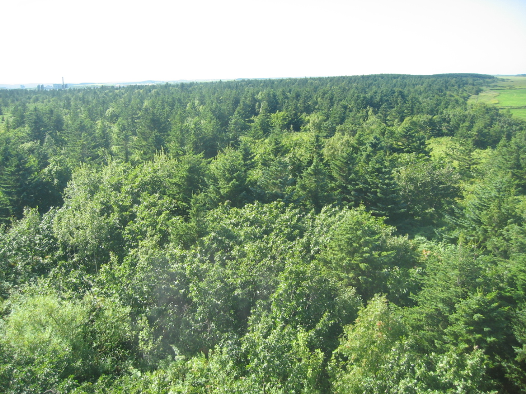 IMG_2939.JPG