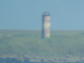 IMG_2781_thumb.png