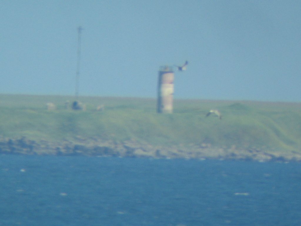 IMG_2782.JPG