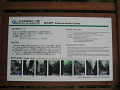 IMG_3206_thumb.png
