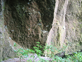 IMG_3210_thumb.png