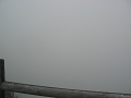 IMG_2842_thumb.png