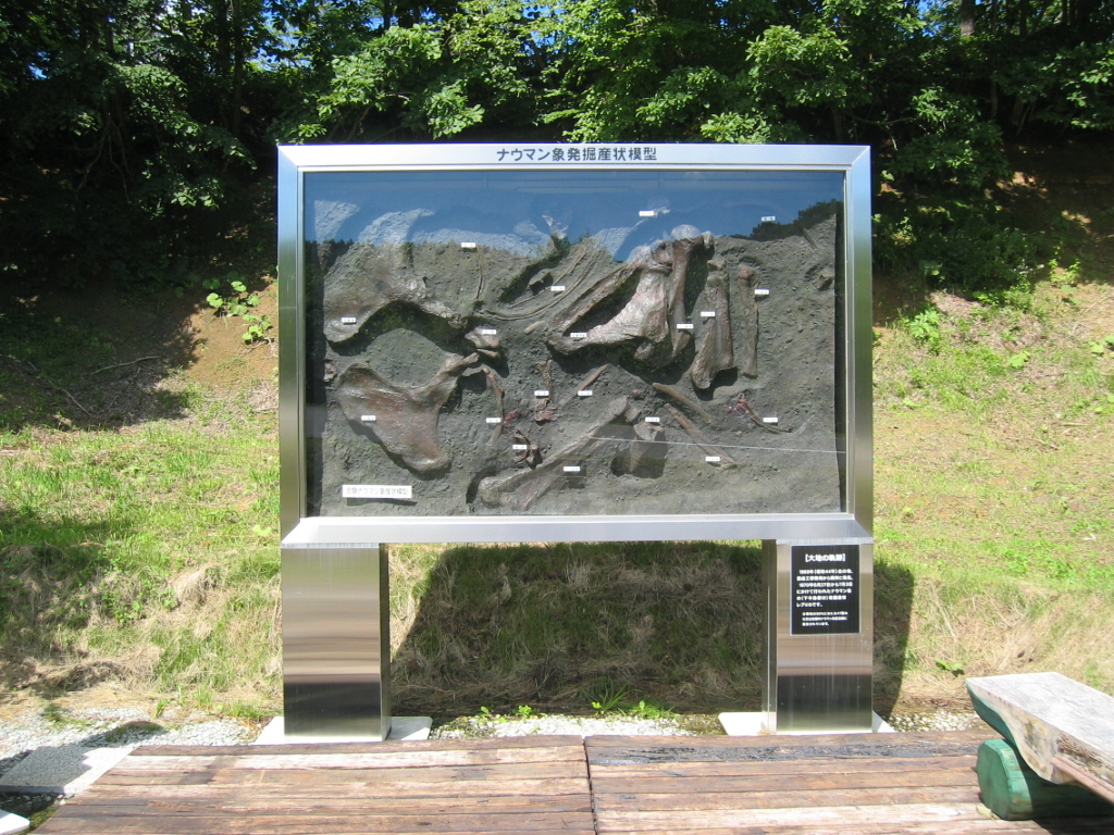 IMG_2695.JPG