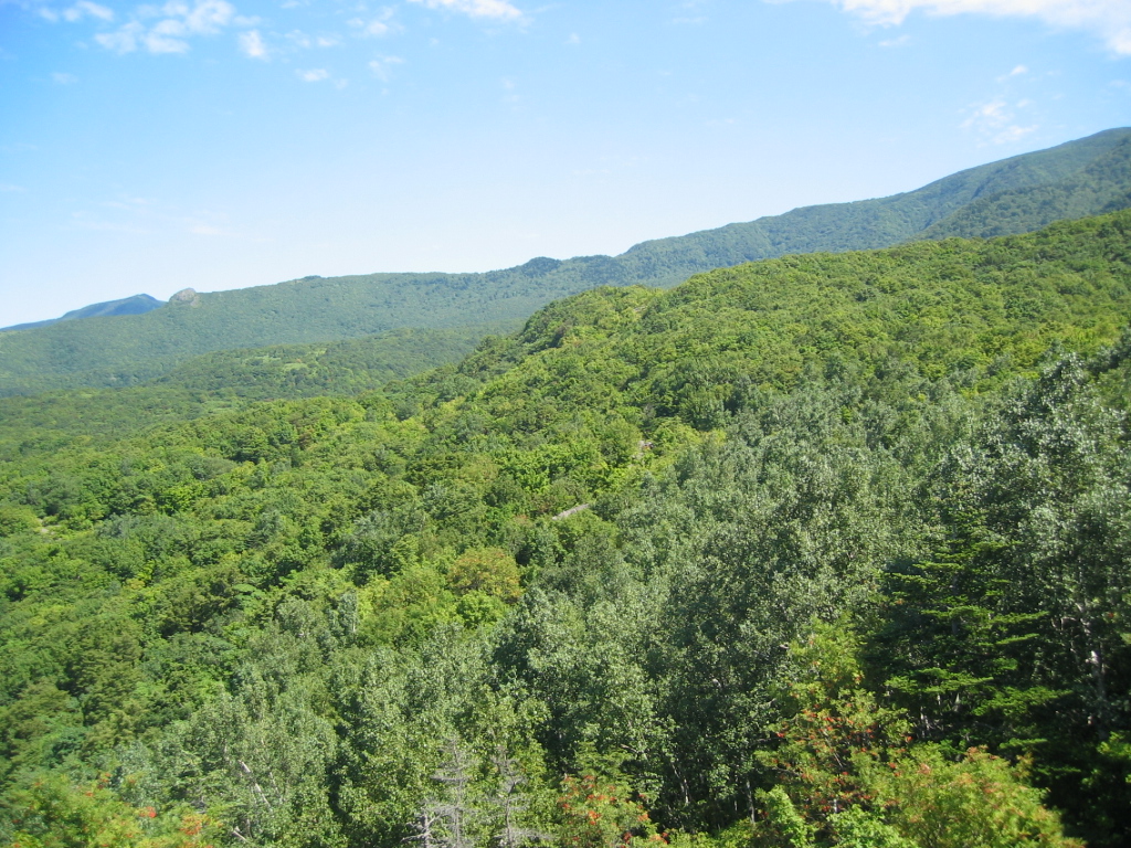 IMG_3101.JPG