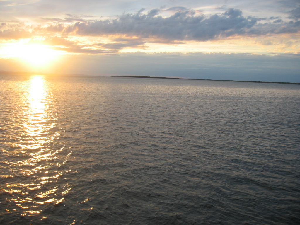 IMG_2890.JPG