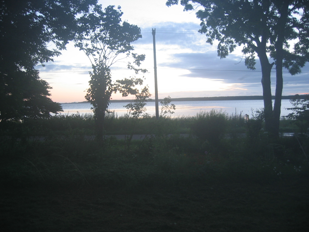 IMG_2892.JPG