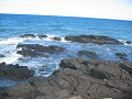 IMG_2924_thumb.png