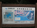 IMG_3188_thumb.png