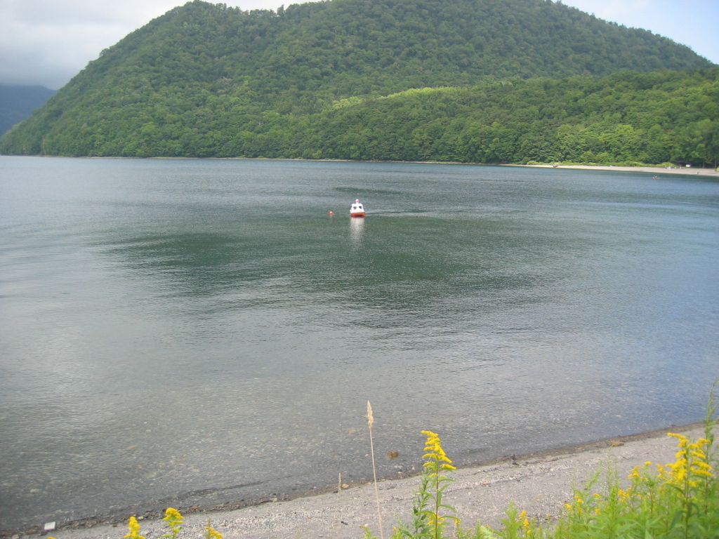 IMG_3217.JPG