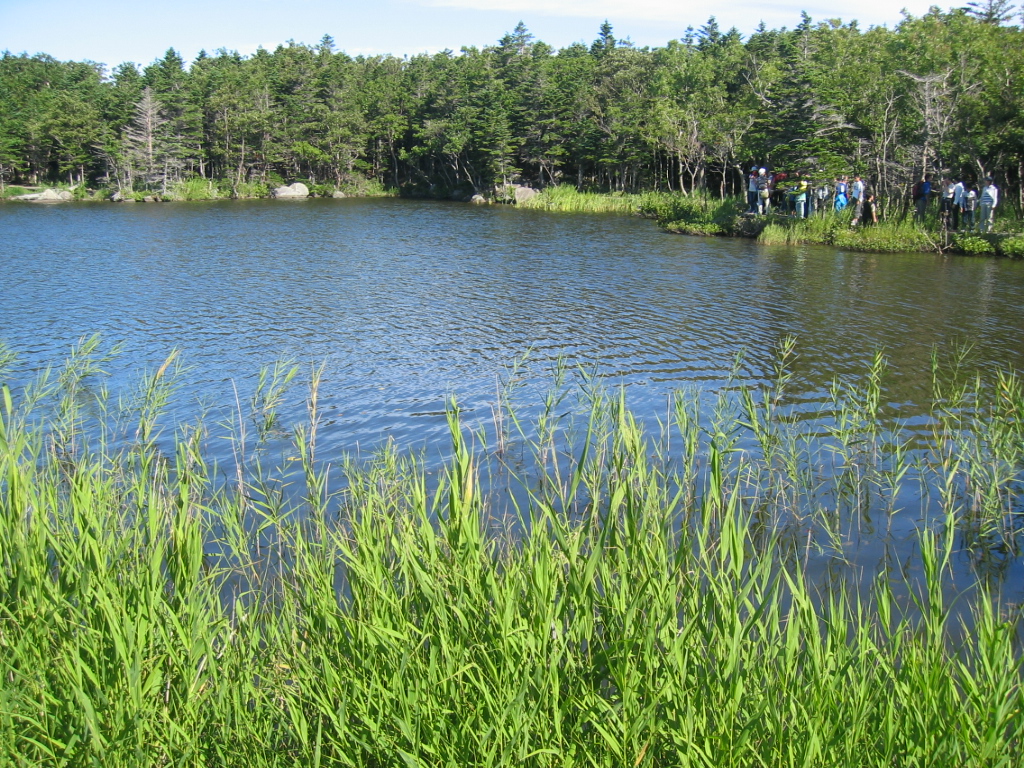 IMG_2832.JPG