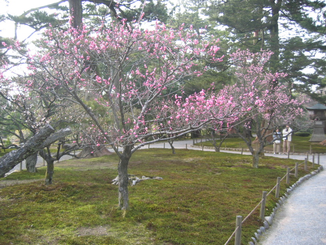 IMG_0962.JPG