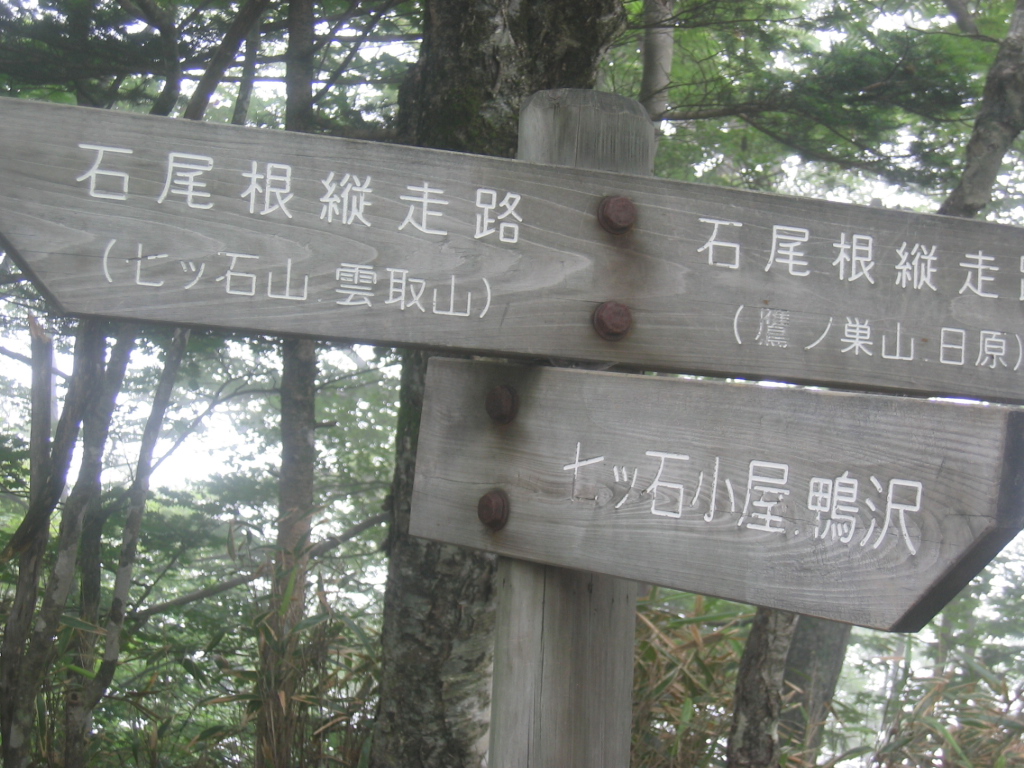 IMG_4495.JPG