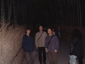DSCF0034_thumb.png