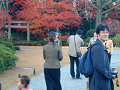 DSCF0044_thumb.png