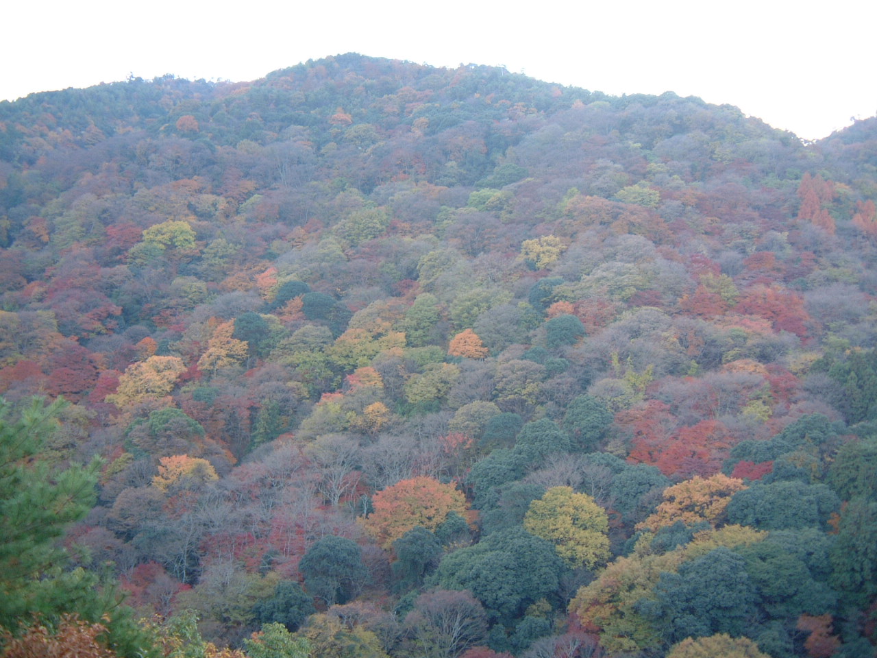DSCF0053.JPG