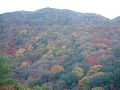 DSCF0053_thumb.png