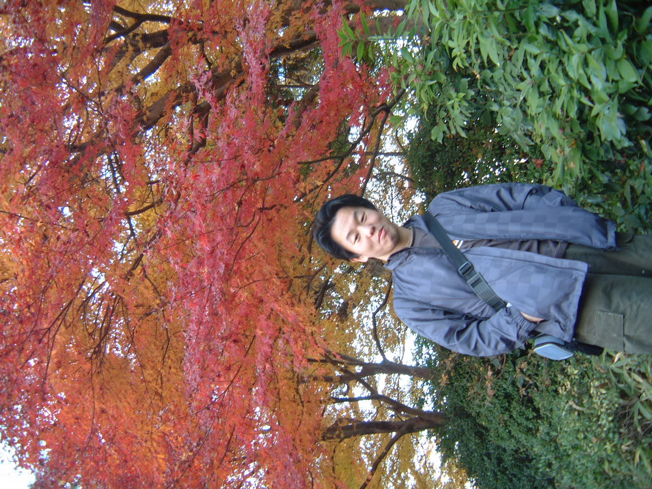 DSCF0057.JPG