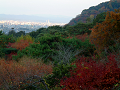 DSCF0059_thumb.png