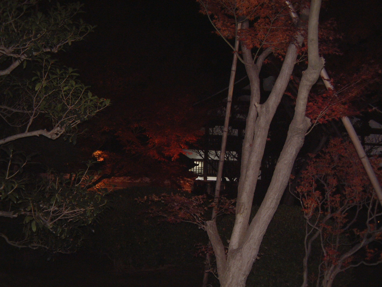 DSCF0078.JPG