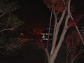 DSCF0078_thumb.png