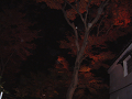DSCF0080_thumb.png