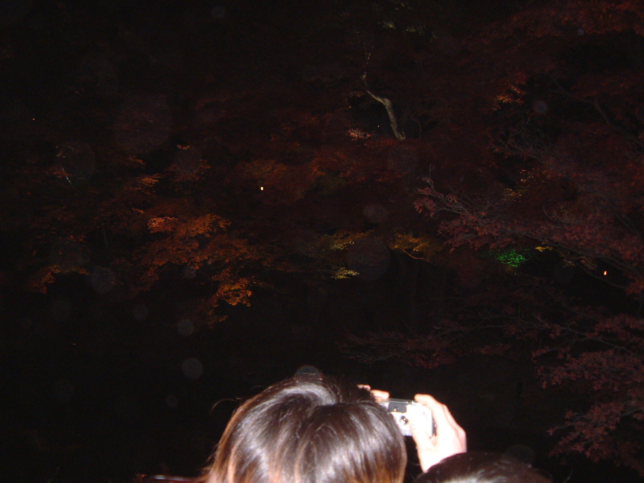DSCF0102.JPG