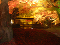 DSCF0121_thumb.png