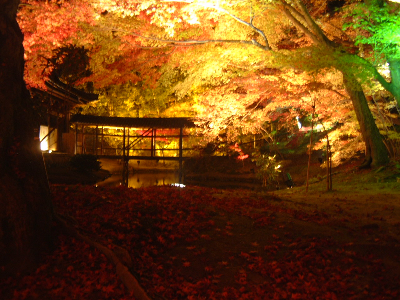 DSCF0122.JPG