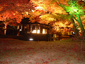 DSCF0123_thumb.png