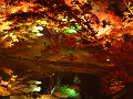 DSCF0125_thumb.png