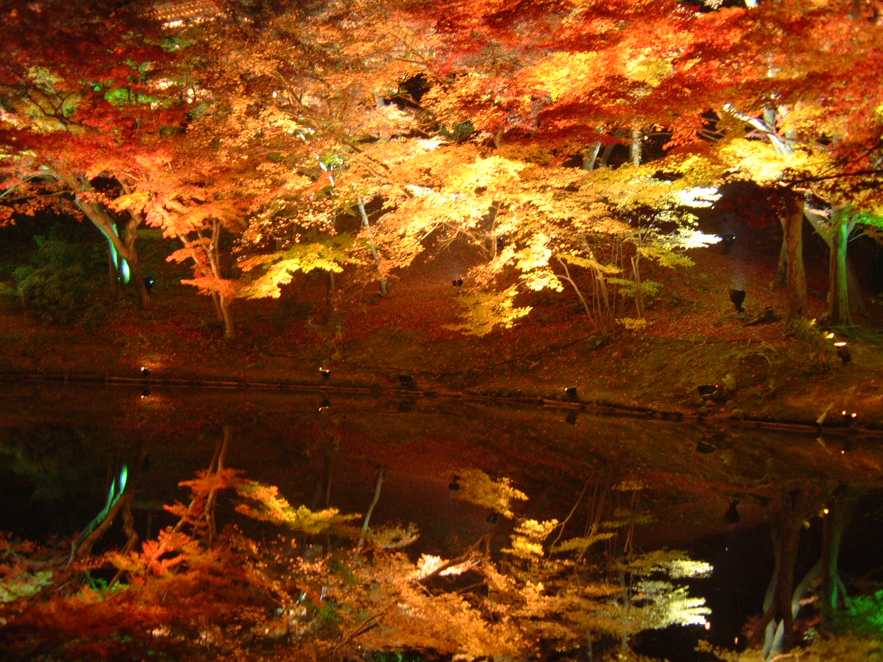 DSCF0127.JPG